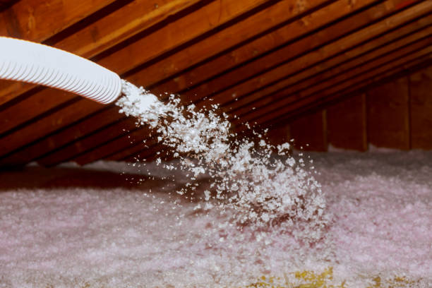 Best Insulation Maintenance and Repair in Hazelwood, MO