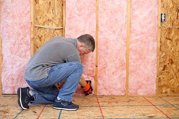 Best Specialized Insulation Services in Hazelwood, MO